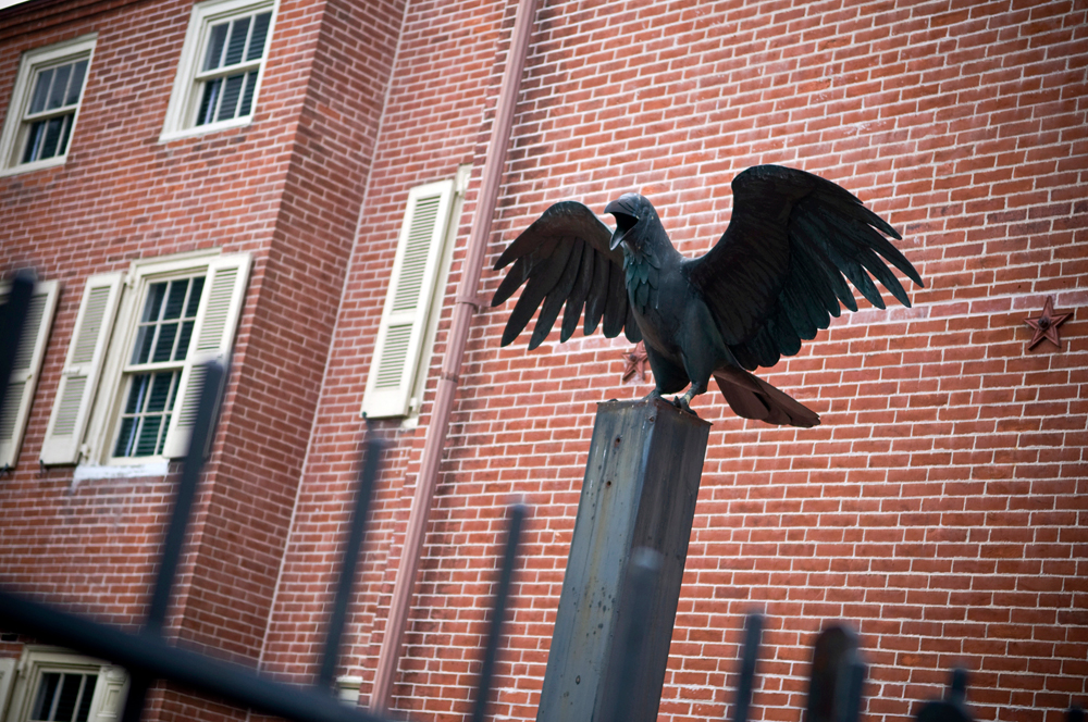 Raven at Edgar Allen Poe House. Photo: iStockphoto
