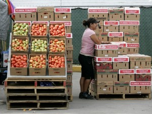 Boxes of tomatoes are for sale in an open air market in Immokalee, Fla. Photo: J. Pat 