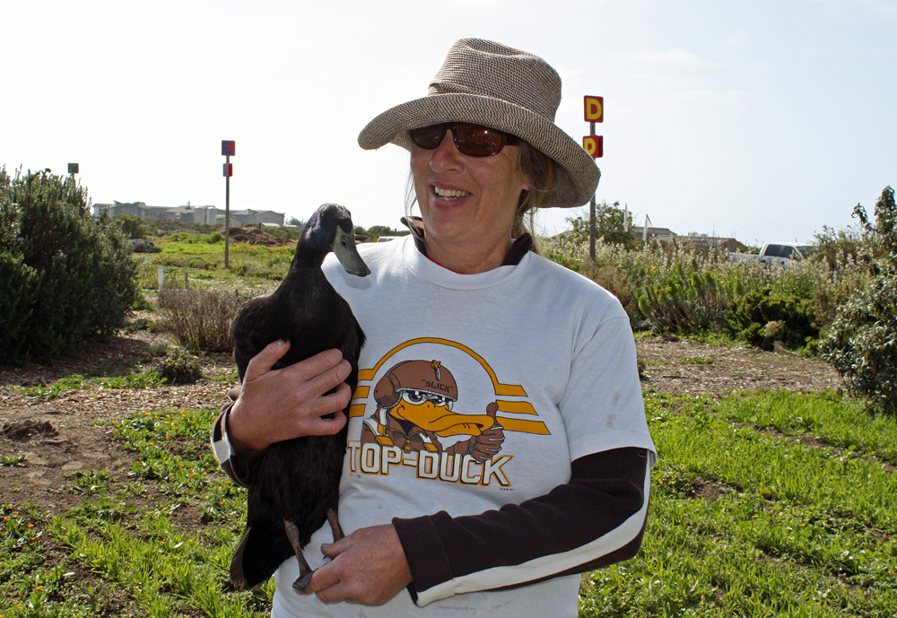 Denise Arasin is a volunteer at the Homeless Garden Project farm and founder of Duck Lovers Adoptions.