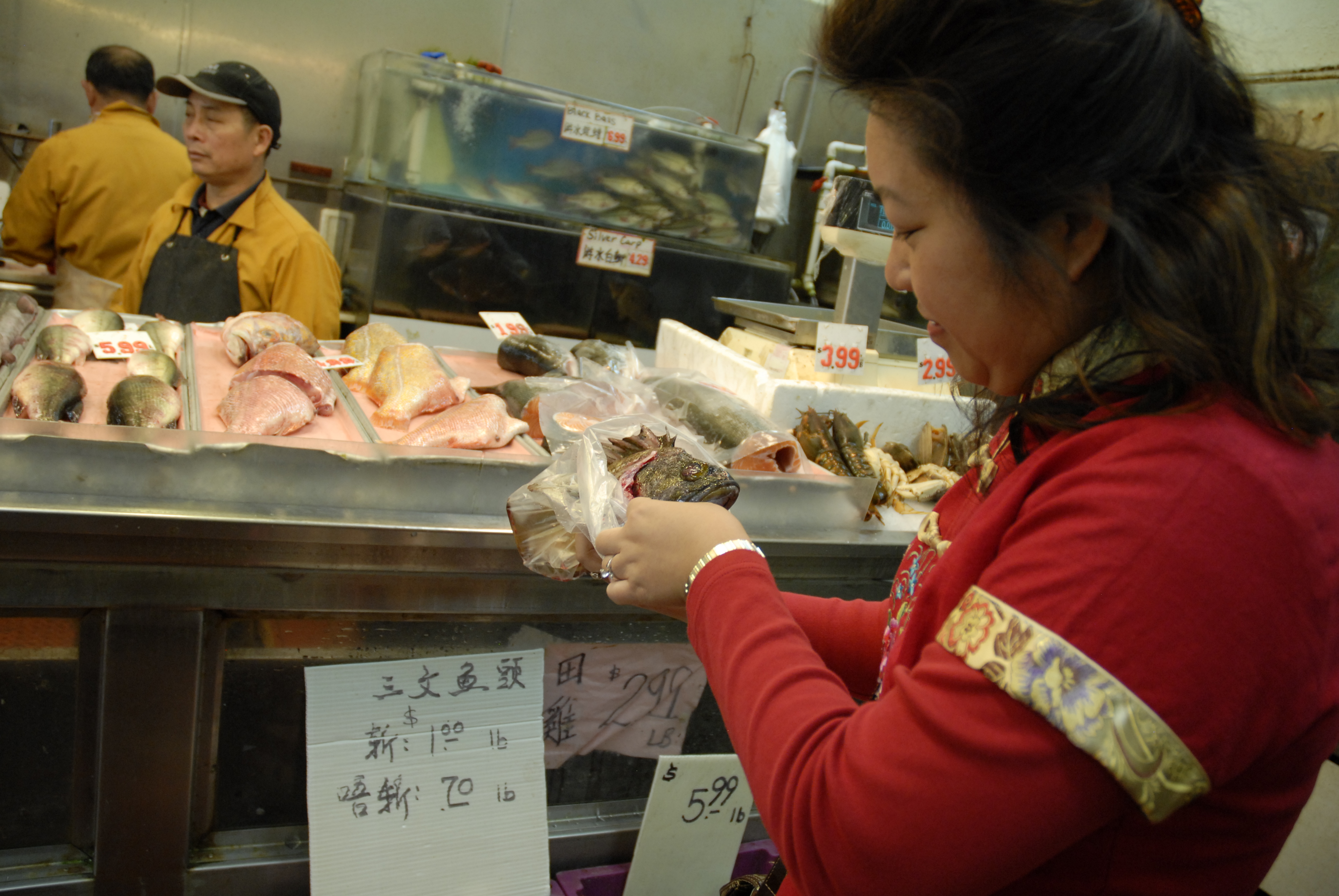 Lisa Li examines Gopher fish at E&F Market in Oakland Chinatown. Photo: Wendy Goodfriend