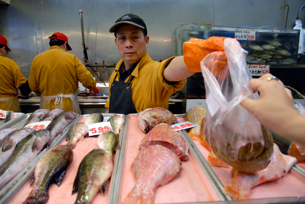 Buying Gopher fish at E&F Market 