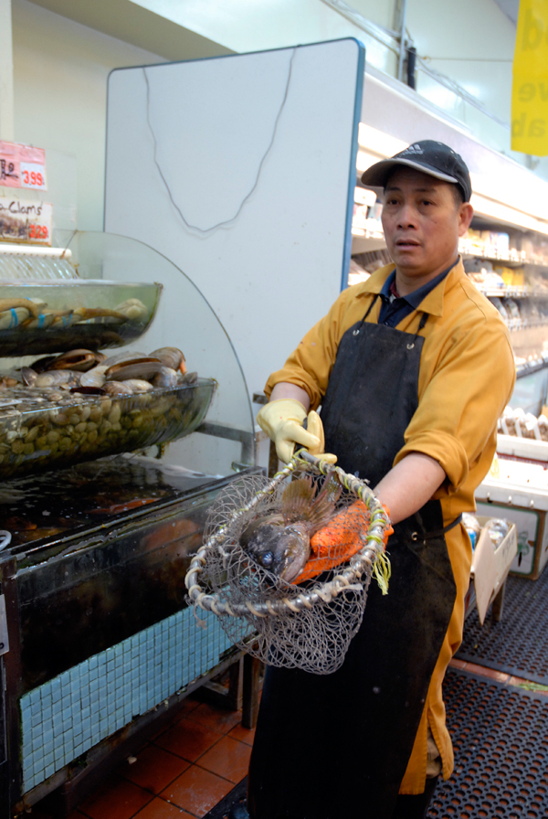 Gopher fish in net at E&F Market in Oakland Chinatown. Photo: Wendy Goodfriend