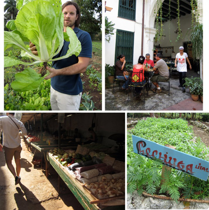 Snapshots from Cuba's farm and food scene. Photos: Varun Mehra