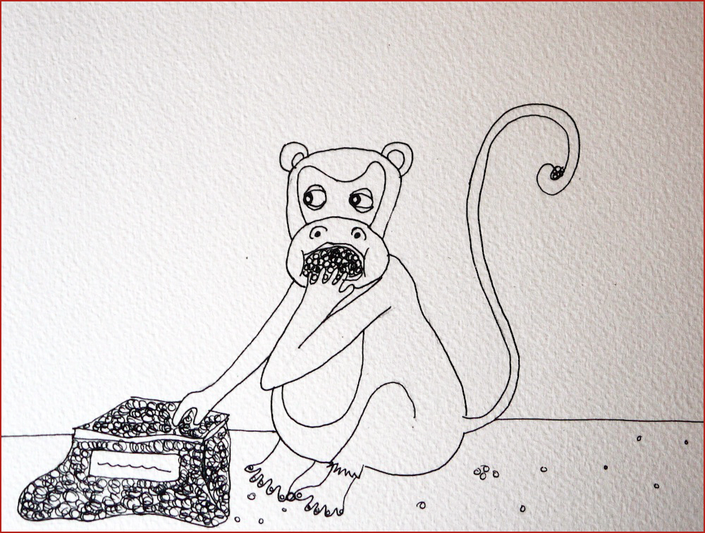 The Monkey. Illustration by Lila Volkas