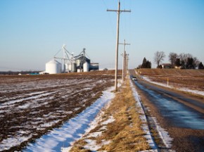 Bowman bought ordinary soybeans from this small grain elevator and used them for seed. Photo: Dan Charles/NPR