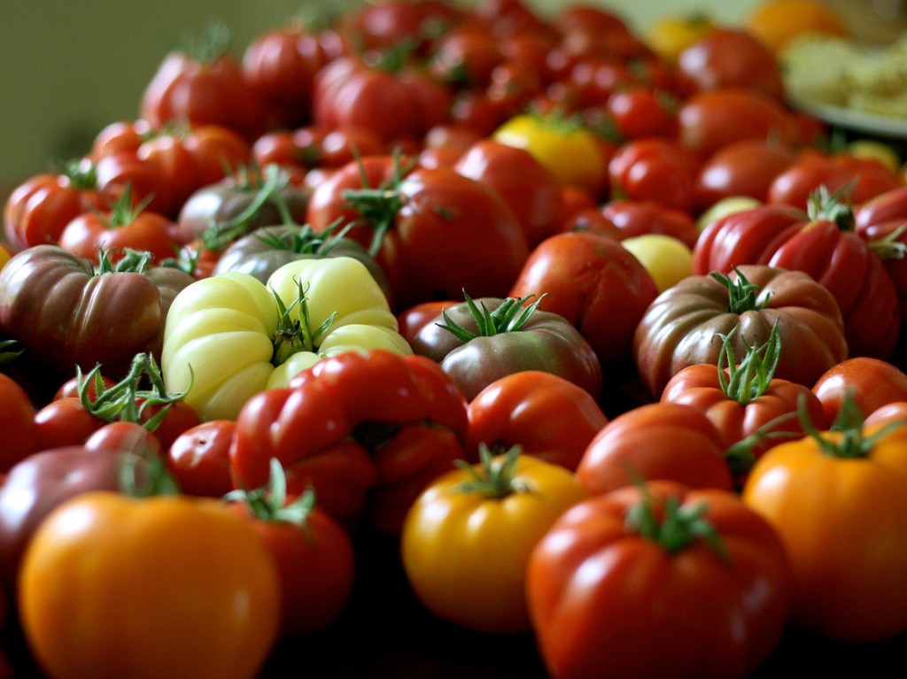 Organic tomatoes come in all shapes and sizes. Photo: Chiot's Run/via Flickr