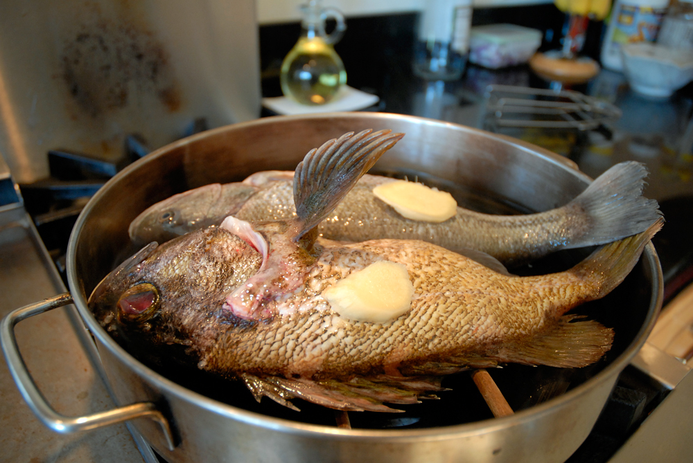 Steaming whole fish
