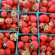 Organic Albion strawberries Photo courtesy Gauchito Hill Farm