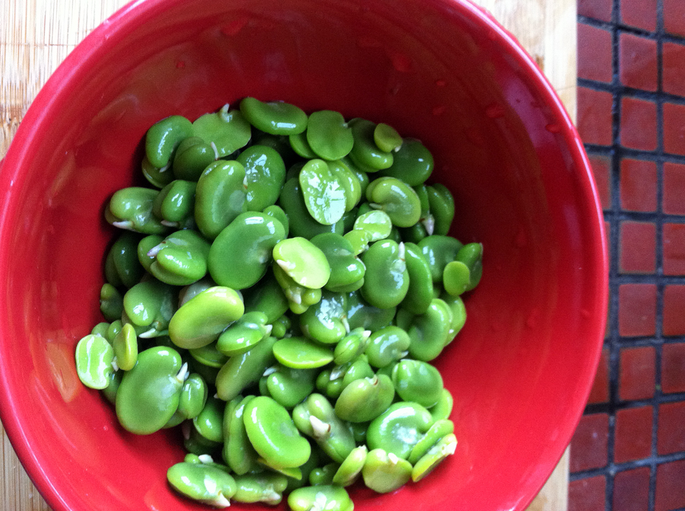Blanched and peeled favas 