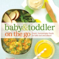 Baby & Toddler On The Go: fresh, homemade foods for a busy life.