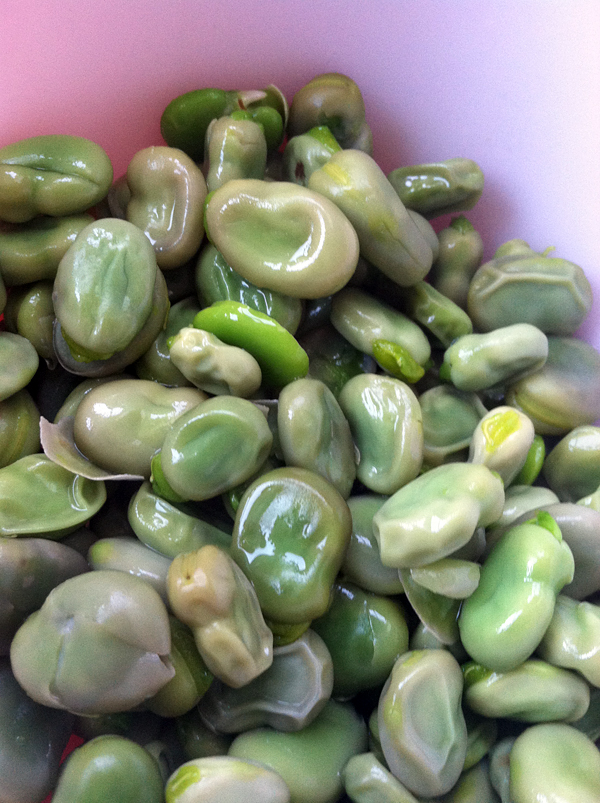 Blanched Fava Beans