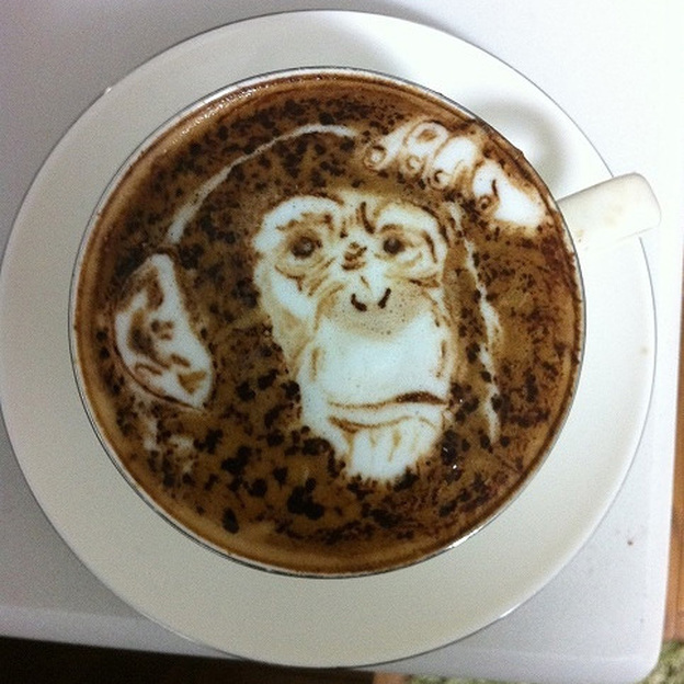 Monkey. Photo: Courtesy of Kohei Matsuno