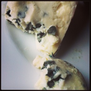 The mold that makes Roquefort cheese: Penicillium roqueforti. 