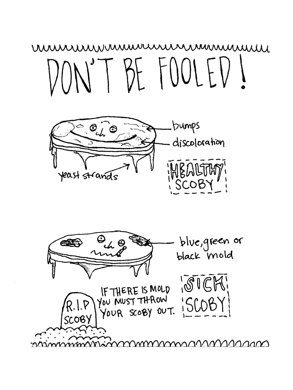 Don't Be Fooled - Healthy vs Sick Kombucha. Illustration by Lila Volkas