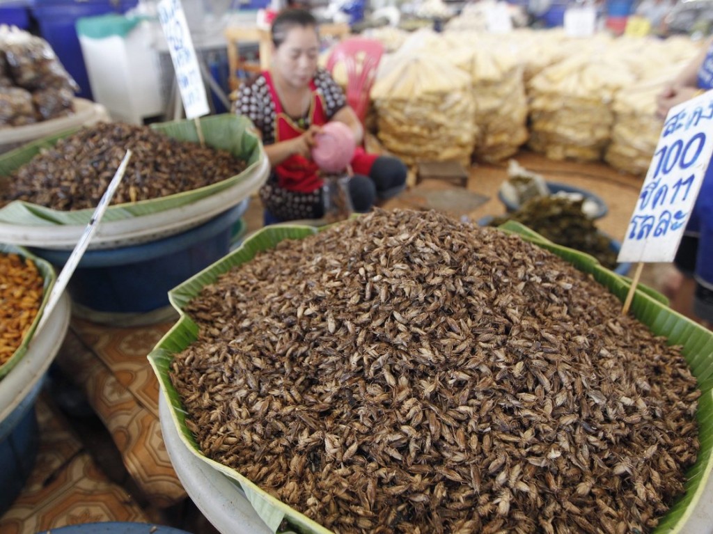 A vendor sells edible insects at Talad Thai market on the outskirts of Bangkok. The most popular method of preparation is to deep-fry crickets in oil and then sprinkle them with lemongrass slivers and chilis. Photo: NARONG SANGNAK/EPA /Landov