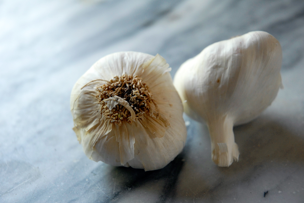 Garlic. Photo: Wendy Goodfriend