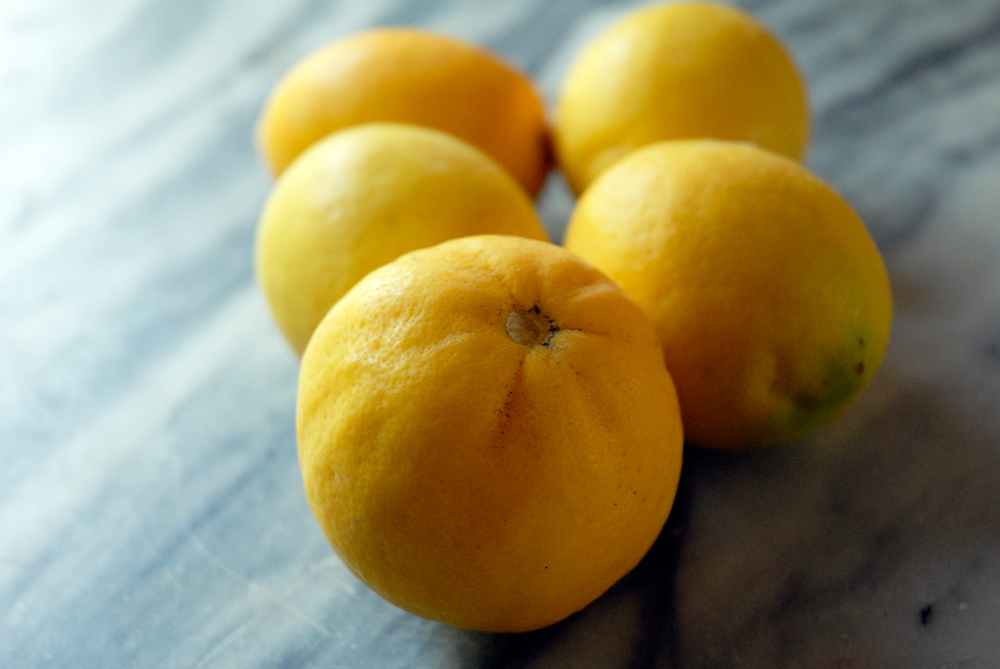 Meyer Lemons. Photo: Wendy Goodfriend