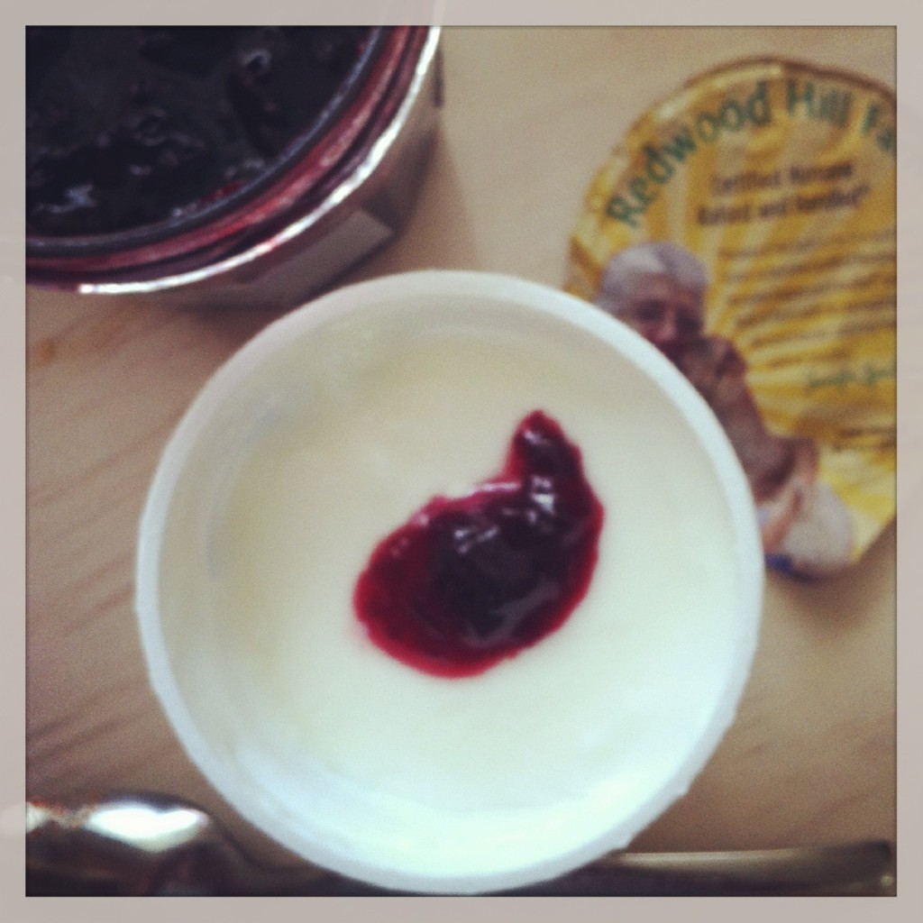 Goat yogurt with a splash of cherry jam.