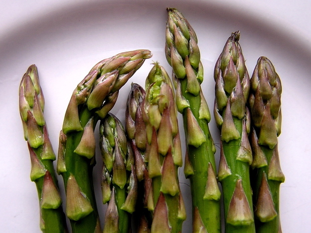 In a recent study, rats that munched on asparagus saw their blood pressure drop. Photo: Muffet/Flickr