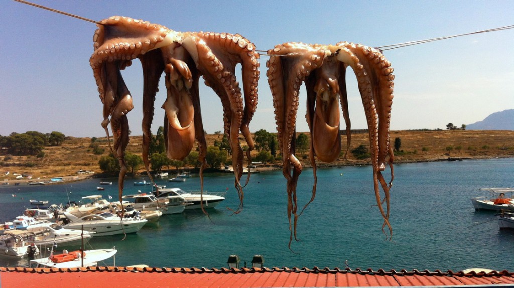 For octopus flesh to be tender enough to grill, it must be dried in the sun at least one full day. Photo: Joanna Kakissis for NPR