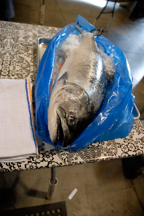 Whole King Salmon. Photo: Wendy Goodfriend