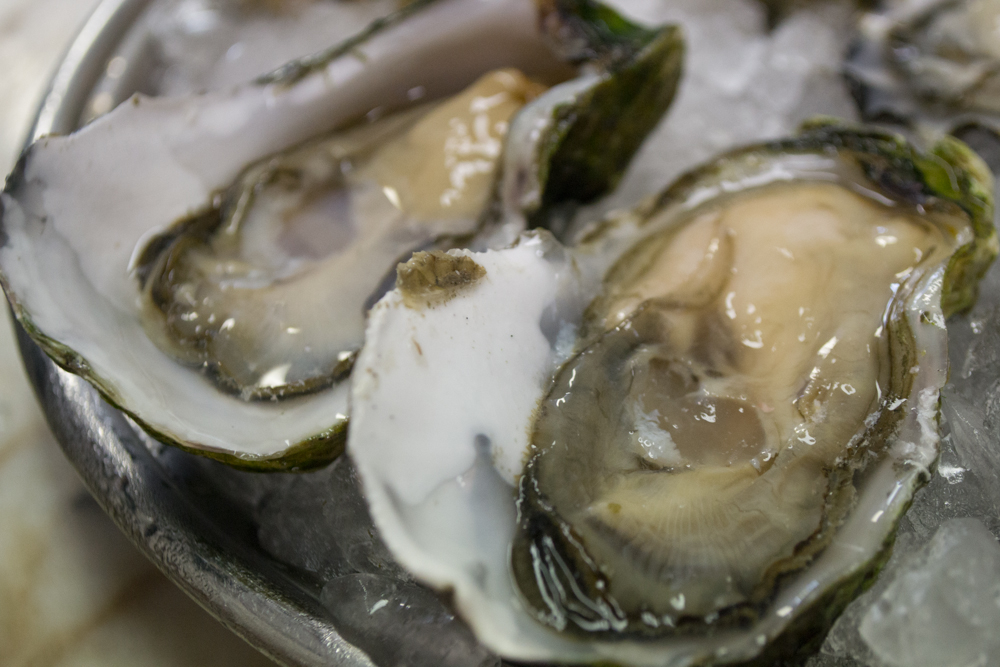 Drakes Bay are some of Kevin’s favorites among local oysters. The farm is facing possible closure, Kevin said he would be upset if they are shut down. Photo: Sara Bloomberg