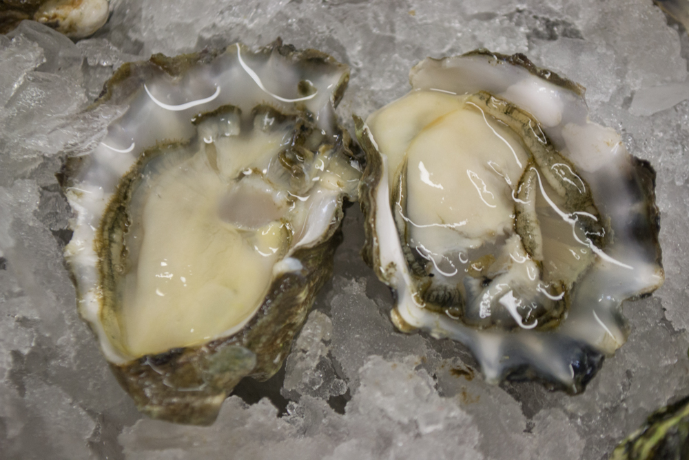 Kumamoto oysters have small cups, making them difficult to barbecue, Kevin said. He thinks they are better raw. Photo: Sara Bloomberg. 