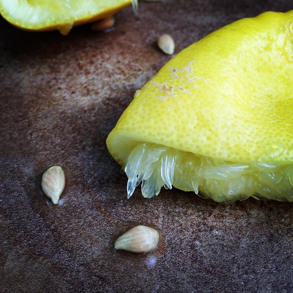 Lemons squeezed. Photo: Michael Procopio