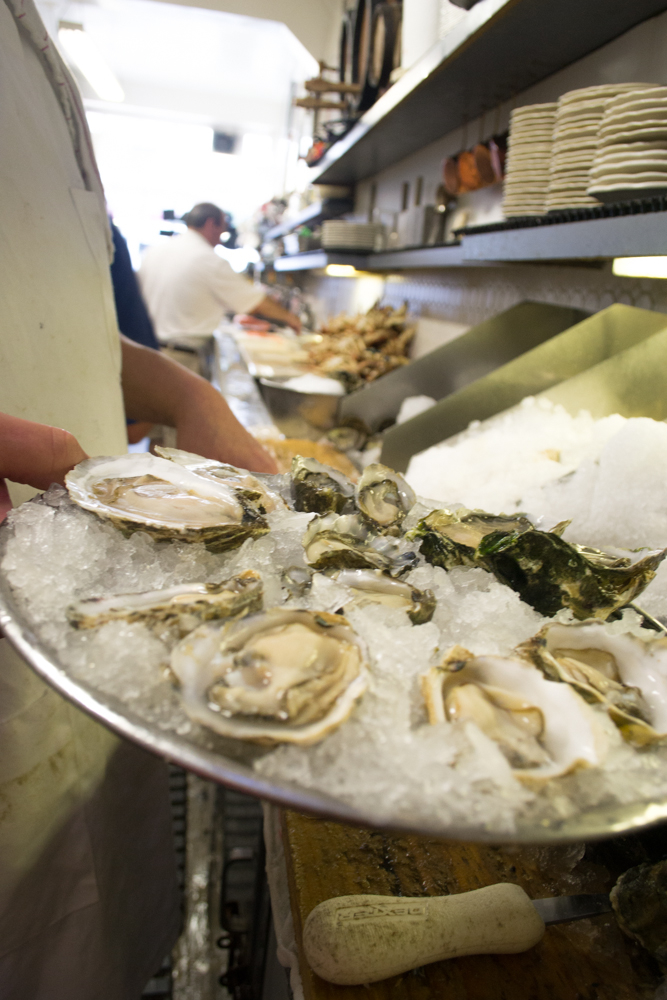 Freshly shucked oysters at Swan Oyster Depot. Photo: Sara Bloomberg.