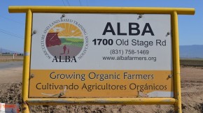Farmers at ALBA learn about production, marketing, management and organic farming in order to start their own farming businesses. Photo: Kirk Siegler/NPR