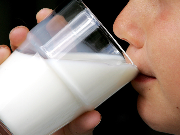 Researchers are learning more about how to treat milk allergy by giving kids a small amount of milk protein, but it needs further study. Photo: Michael Probst/Associated Press
