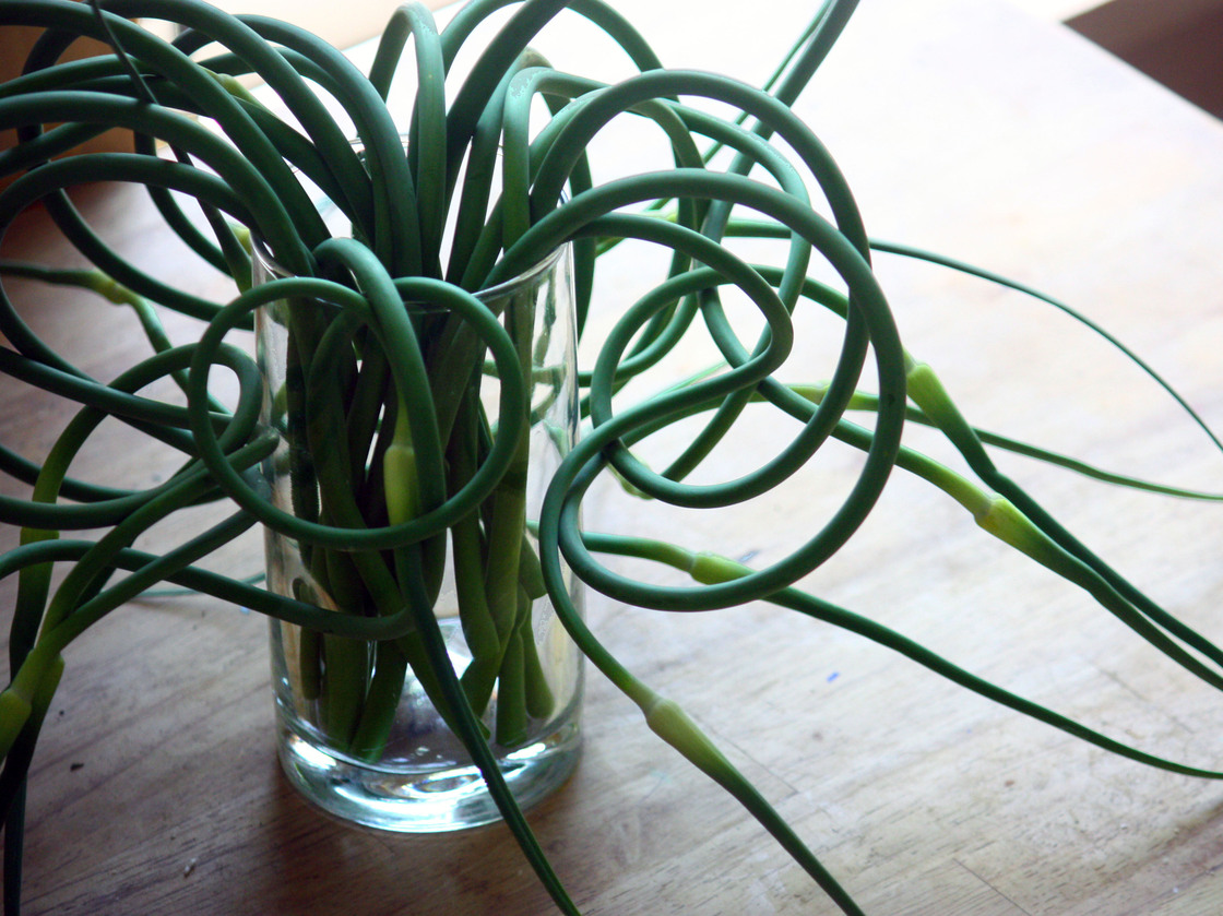 Garlic Scapes. Photo: T. Susan Chang for NPR