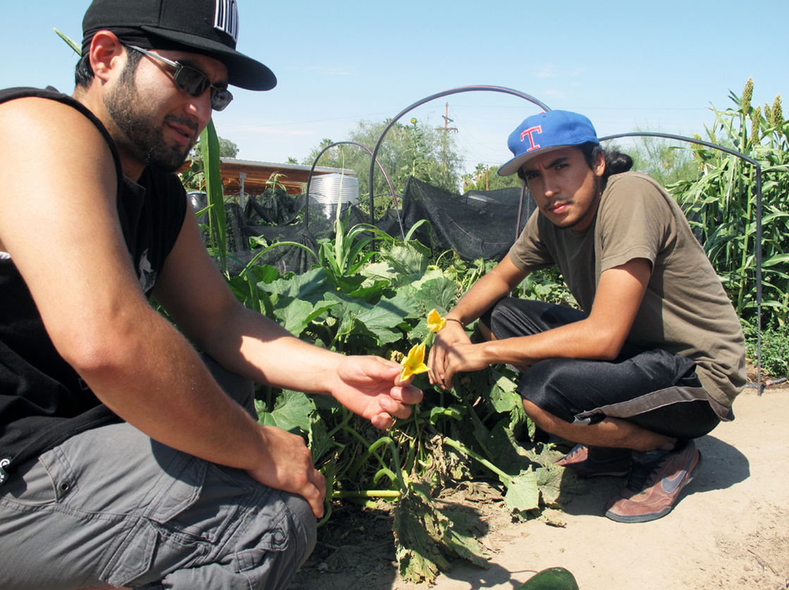 Efren Martinez (right), 22, and his friend Marcos Perez try to get neighborhood kids interested in gardening at Las Milpitas de Cottonwood farm, which is run by the local food bank in Tucson, Ariz. Photo: Pam Fessler/NPR