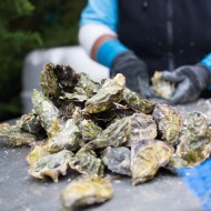 Woodhouse Fish Co. serving Drakes Bay Oysters