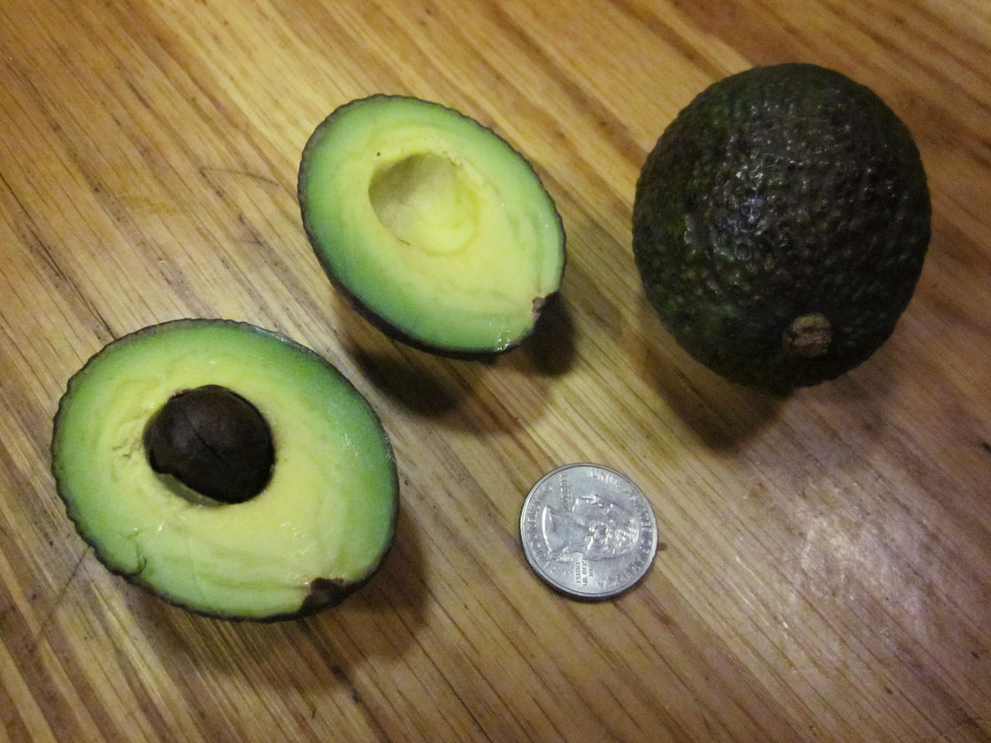This season's avocados are the smallest in memory. We found some that were as tiny as 47 grams. Photo: Alistair Bland/NPR