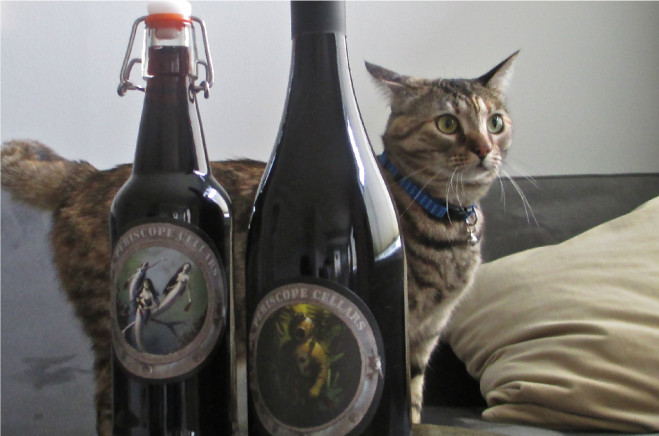 The house cat at Periscope Cellars enjoys wine too. Photo: Granate Sosnoff