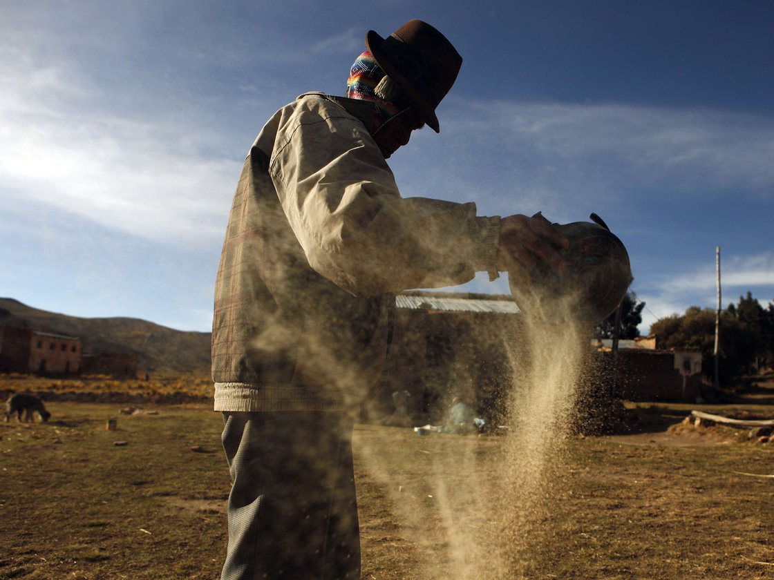 A man cleans quinoa grain in Pacoma, Bolivia. Photo: Juan Karita/AP