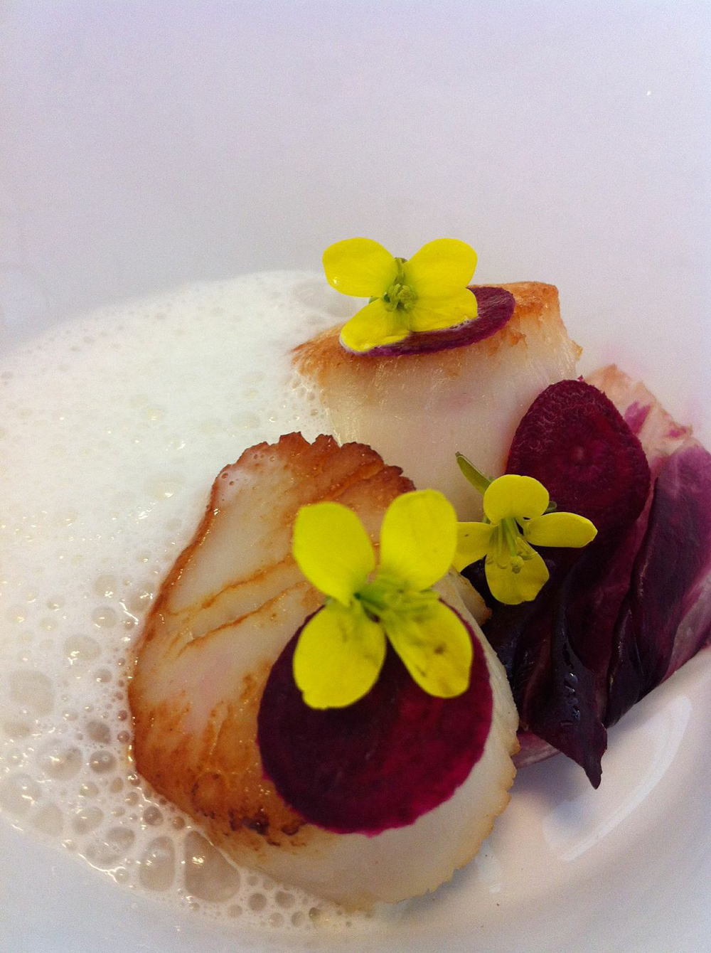 Seared Scallops with Grilled Radicchio, Shaved Beet, Truffle Parm Foam. Photo courtesy Nosh SF