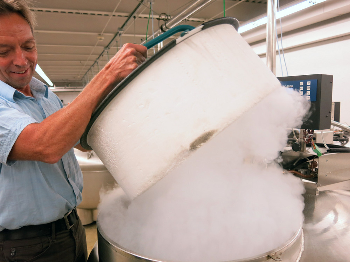 "You'll want your camera out for this," Dierig said as he lifted up the lid to a cryogenic freezer capsule. In the cryo chamber, the collection expands to include not just seeds, but animal embryos, semen and microbes. Photo: Grace Hood/KUNC