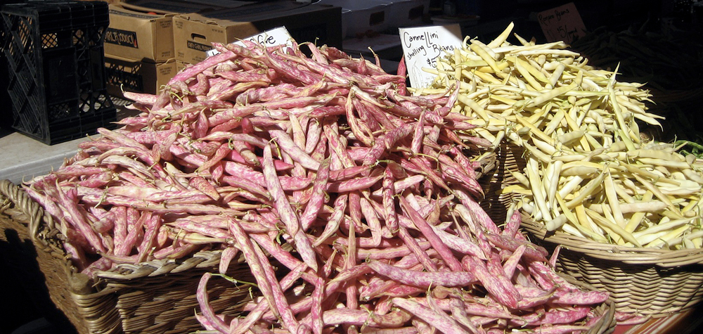 Dirty Girl Produce Shelling Beans. Photo: Laura McCamy