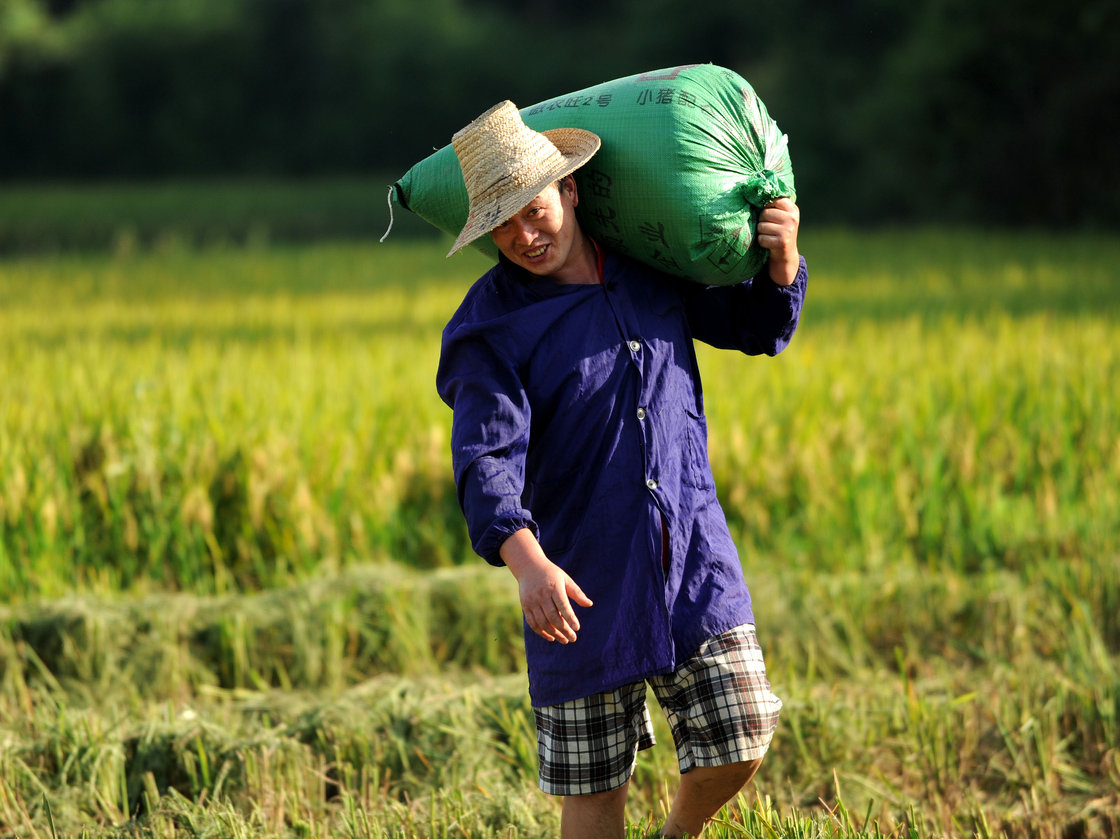 A farmer carries a bag of rice in China's Jiangxi Province in July 2013. Photo: ZHOU KE/Xinhua /Landov