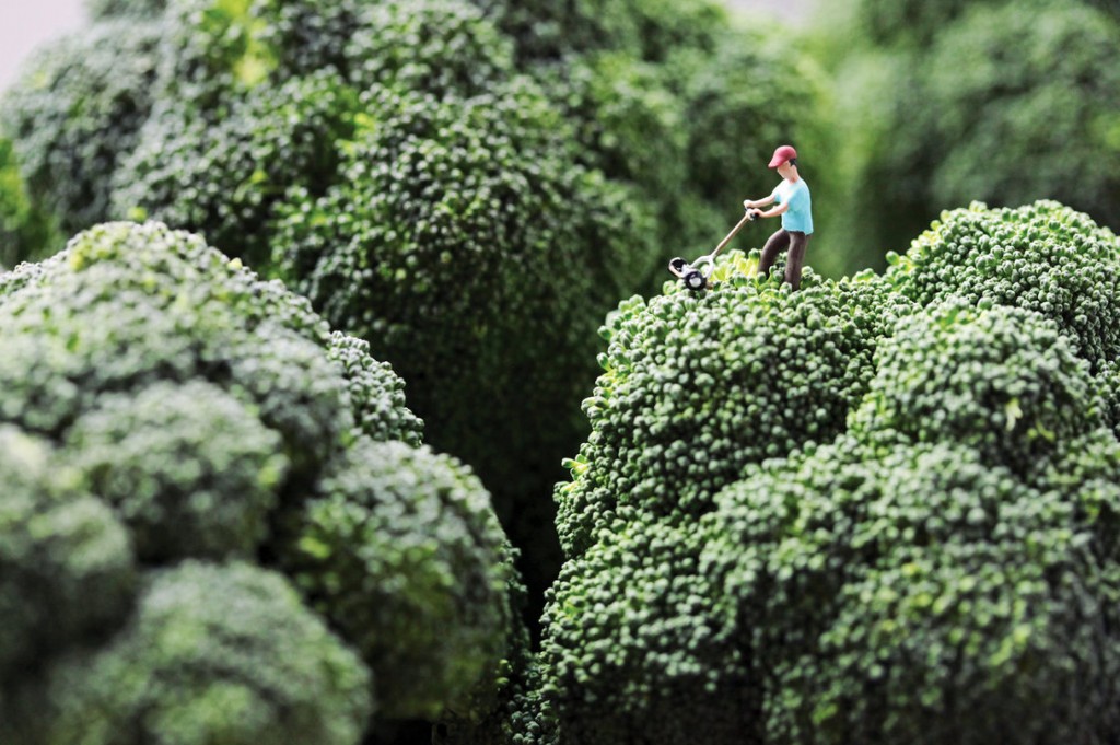 Broccoli Mower: "Douglas stubbornly refused to accept his wife's opinion that he had let the lawn go too long without attention." Photo: Christopher Boffoli/Courtesy Workman Publishing