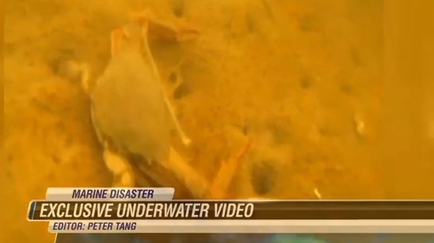 An image from video shot by diver Roger White for Hawaii News Now shows how the molasses spill has affected the water in part of Honolulu Harbor and killed many creatures. Photo: Hawaii News Now