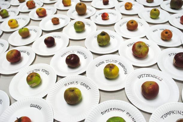 Apples from last year's National Heirloom Exposition. Photo: CUESA