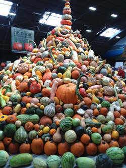 Squash display from last year's National Heirloom Exposition. Photo: CUESA