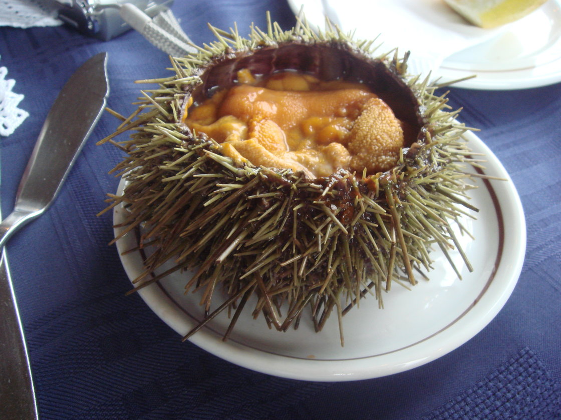 Sea urchins are considered a culinary delicacy, but demand can't keep up with supply. Photo: Aizat Faiz/Flickr
