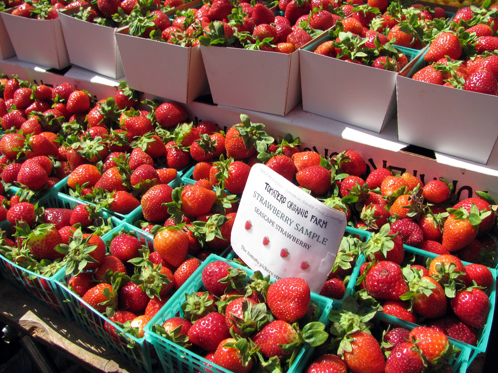 Tomatero Farm Strawberries. Photo: Laura McCamy