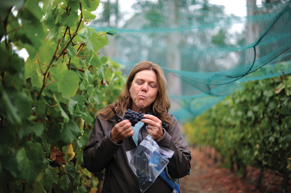 Prudy Foxx of Corralitos (near Santa Cruz) has been nicknamed the "grape whisperer, discovering neglected plantings, and matching grapes to the right winemaker. Photo: Ten Speed Press/Erik Castro