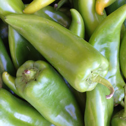 Anaheim peppers. Photo courtesy of CUESA