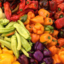 Assorted peppers. Photo: courtesy of CUESA